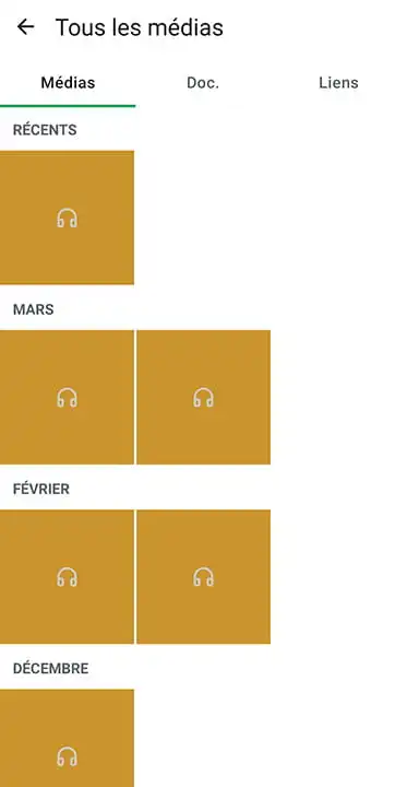 Onglet Médias de WhatsApp avec le fichier audio