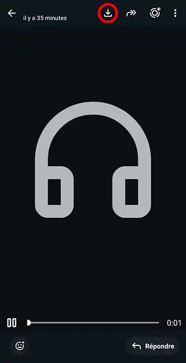 Bouton de téléchargement du vocal WhatsApp